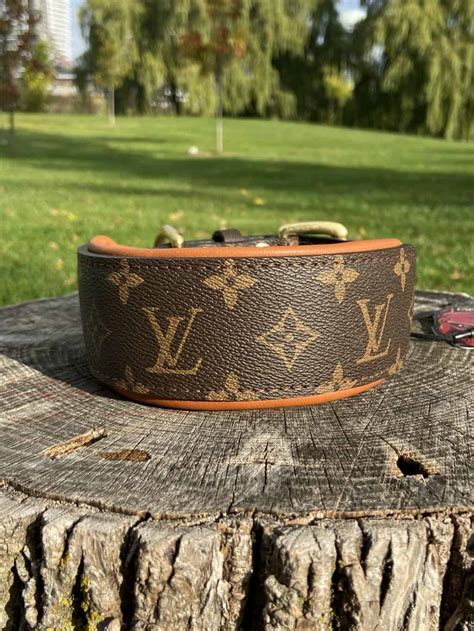 dog louis vuitton jacket|Louis Vuitton dog collar large.